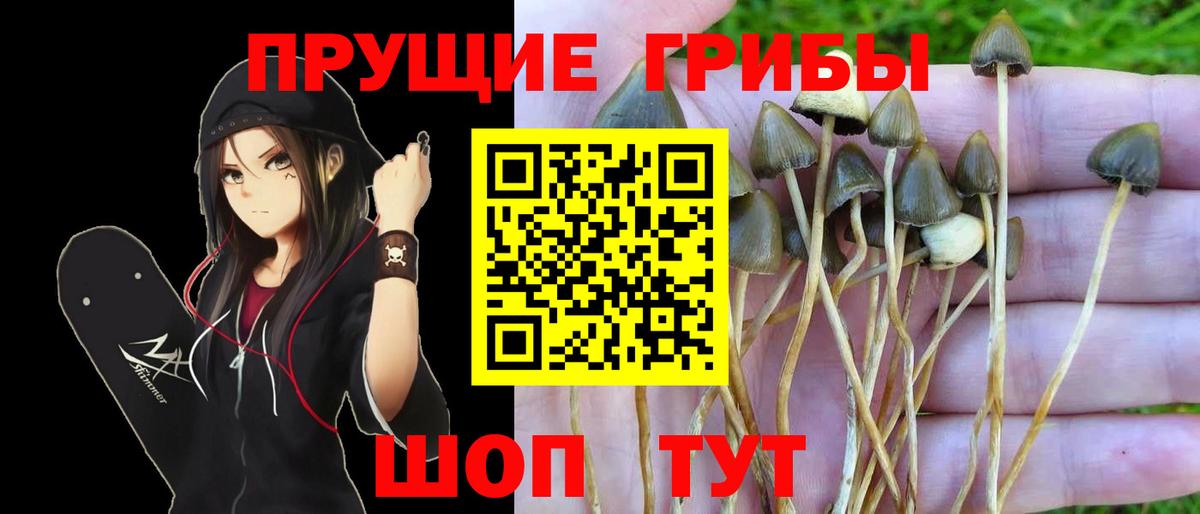 Псилоцибиновые грибы Magic Shrooms  Вход с VPN  Архангельск 
